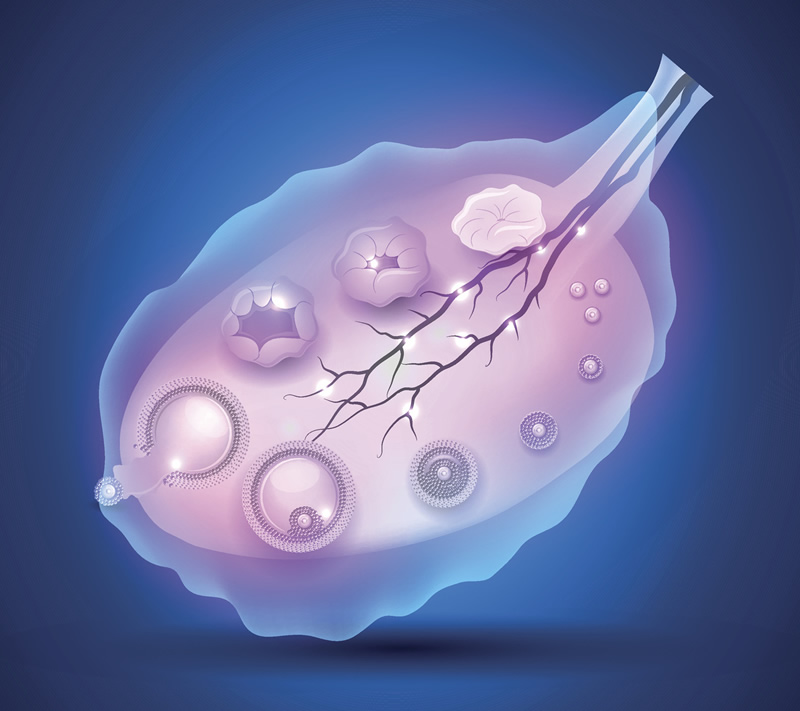 2026年西安拉拉试管医院就医指南：西北妇女儿童医院、唐都医院等正规机构实力解析，附医生团队与费用透明参考
